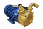 230V brass pump