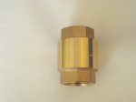 Check valve (F09170000)